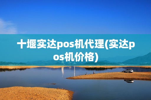 十堰实达pos机代理(实达pos机价格)