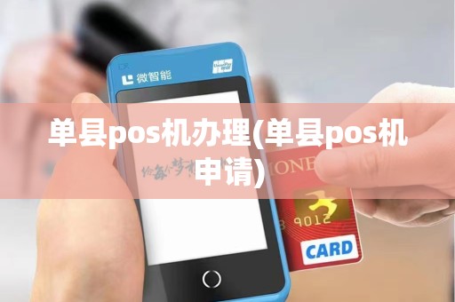 单县pos机办理(单县pos机申请)