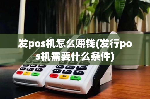 发pos机怎么赚钱(发行pos机需要什么条件)