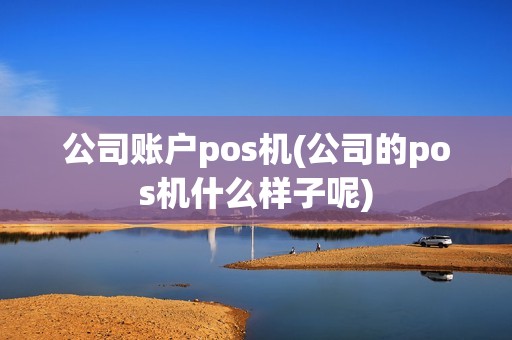 公司账户pos机(公司的pos机什么样子呢)