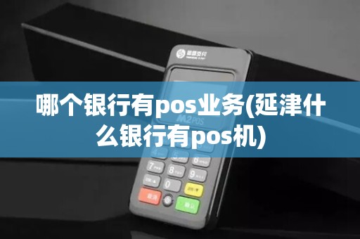 哪个银行有pos业务(延津什么银行有pos机)