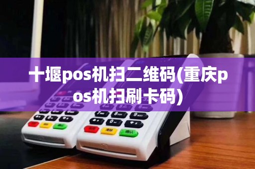 十堰pos机扫二维码(重庆pos机扫刷卡码)