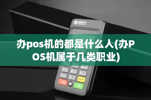 办pos机的都是什么人(办POS机属于几类职业)