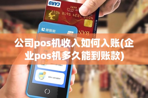 公司pos机收入如何入账(企业pos机多久能到账款)