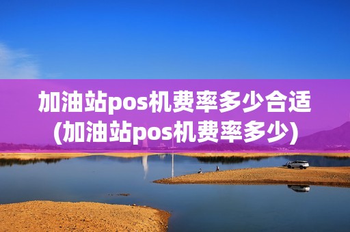 加油站pos机费率多少合适(加油站pos机费率多少)