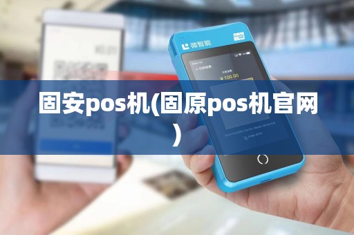 固安pos机(固原pos机官网)