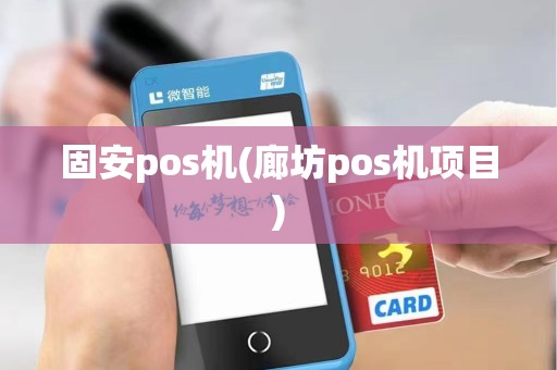 固安pos机(廊坊pos机项目)