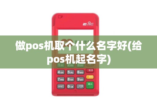 做pos机取个什么名字好(给pos机起名字)