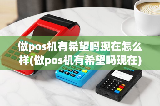 做pos机有希望吗现在怎么样(做pos机有希望吗现在)