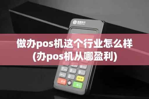 做办pos机这个行业怎么样(办pos机从哪盈利)