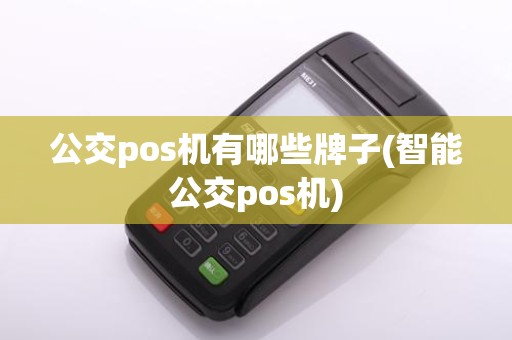 公交pos机有哪些牌子(智能公交pos机)