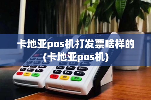 卡地亚pos机打发票啥样的(卡地亚pos机)