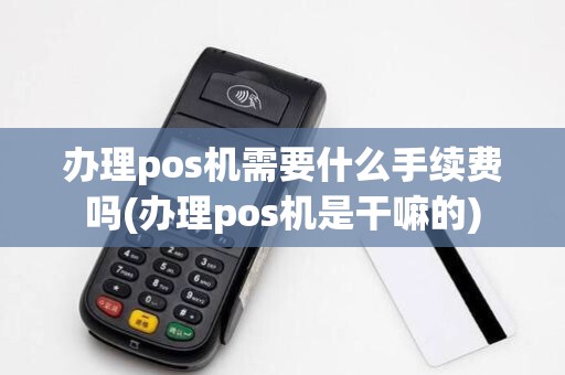 办理pos机需要什么手续费吗(办理pos机是干嘛的)