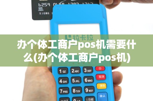 办个体工商户pos机需要什么(办个体工商户pos机)