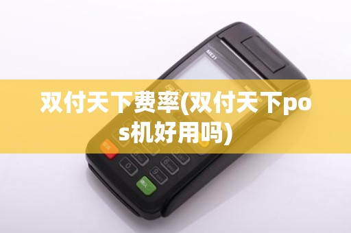 双付天下费率(双付天下pos机好用吗)