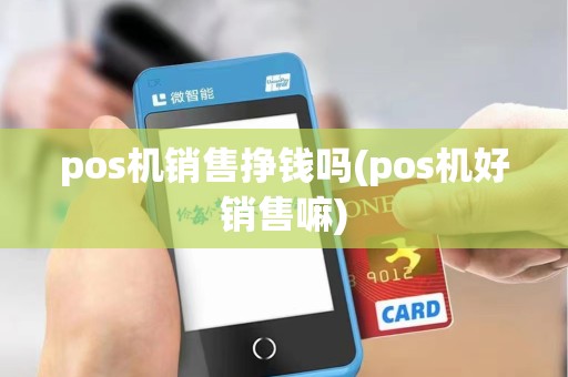 pos机销售挣钱吗(pos机好销售嘛)
