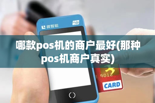 哪款pos机的商户最好(那种pos机商户真实)