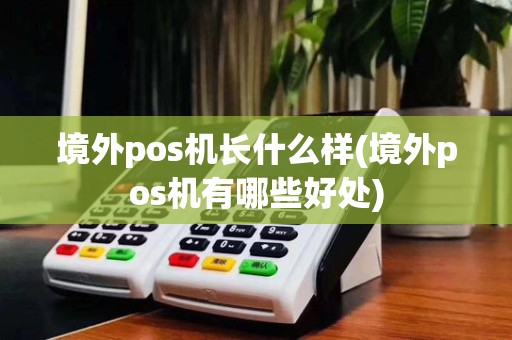 境外pos机长什么样(境外pos机有哪些好处)