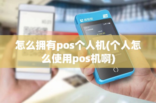 怎么拥有pos个人机(个人怎么使用pos机啊)