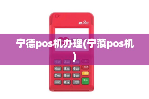 宁德pos机办理(宁蒗pos机)