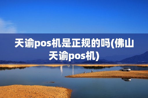 天谕pos机是正规的吗(佛山天谕pos机)