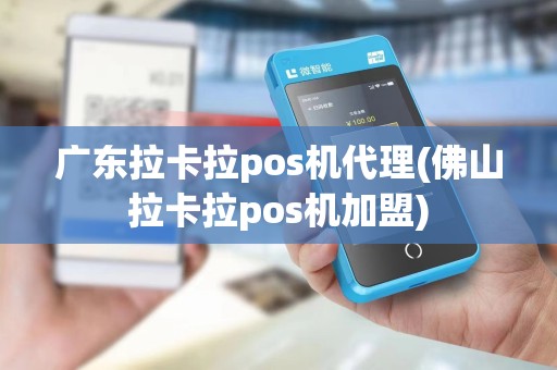 广东拉卡拉pos机代理(佛山拉卡拉pos机加盟)