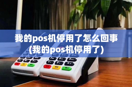 我的pos机停用了怎么回事(我的pos机停用了)