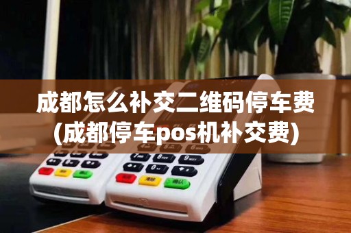 成都怎么补交二维码停车费(成都停车pos机补交费)