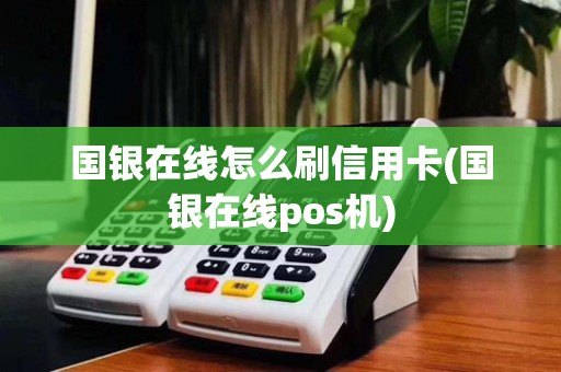 国银在线怎么刷信用卡(国银在线pos机)