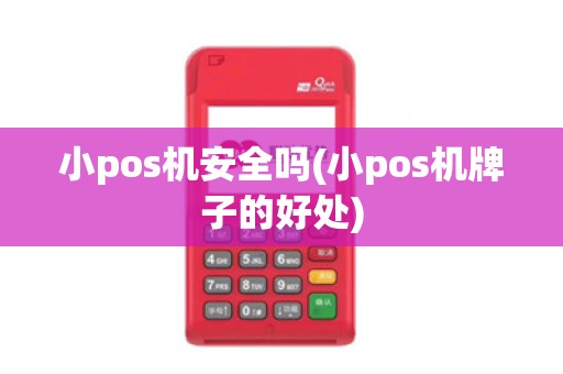 小pos机安全吗(小pos机牌子的好处)