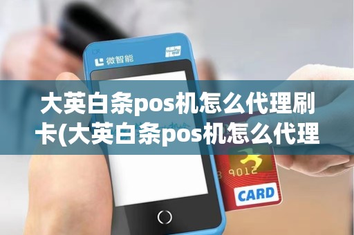 大英白条pos机怎么代理刷卡(大英白条pos机怎么代理)