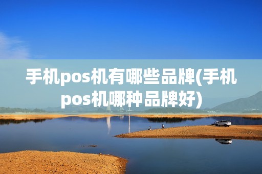 手机pos机有哪些品牌(手机pos机哪种品牌好)