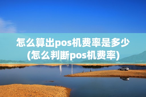 怎么算出pos机费率是多少(怎么判断pos机费率)