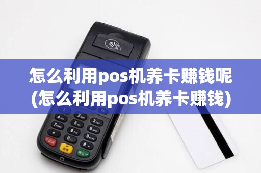 怎么利用pos机养卡赚钱呢(怎么利用pos机养卡赚钱)