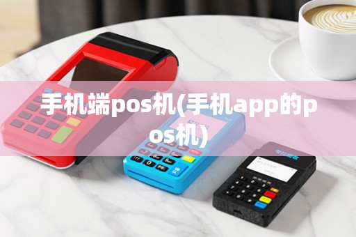 手机端pos机(手机app的pos机)