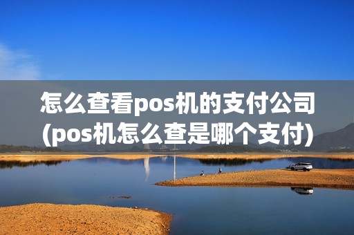 怎么查看pos机的支付公司(pos机怎么查是哪个支付)