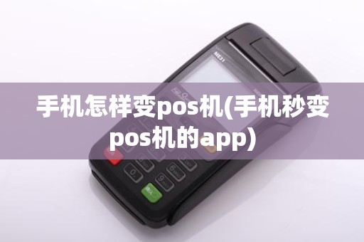 手机怎样变pos机(手机秒变pos机的app)