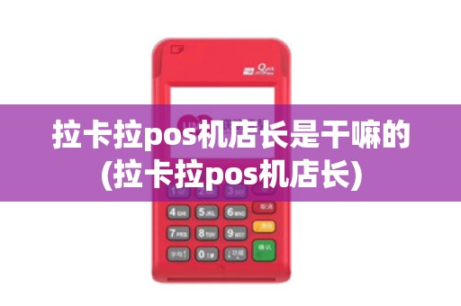 拉卡拉pos机店长是干嘛的(拉卡拉pos机店长)