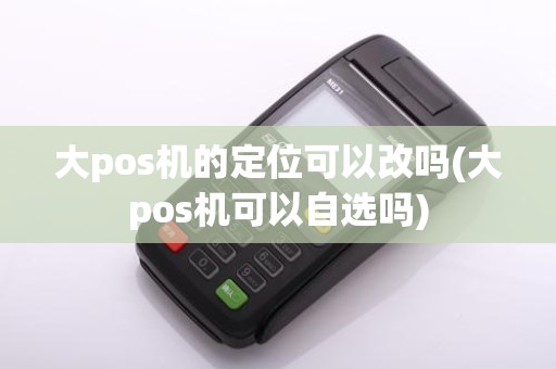 大pos机的定位可以改吗(大pos机可以自选吗)