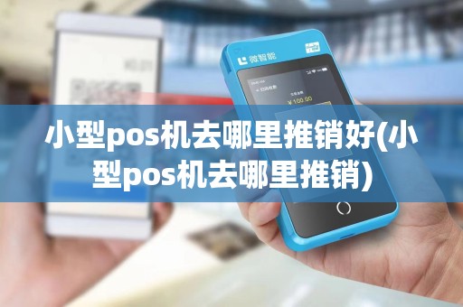 小型pos机去哪里推销好(小型pos机去哪里推销)
