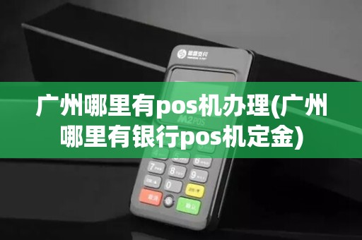 广州哪里有pos机办理(广州哪里有银行pos机定金)