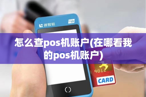 怎么查pos机账户(在哪看我的pos机账户)