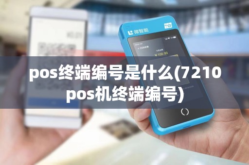pos终端编号是什么(7210pos机终端编号)