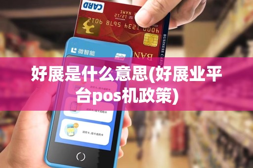 好展是什么意思(好展业平台pos机政策)