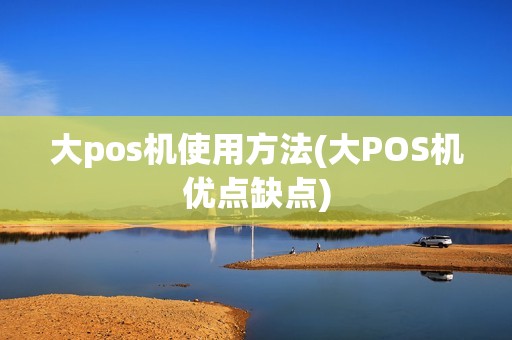 大pos机使用方法(大POS机优点缺点)