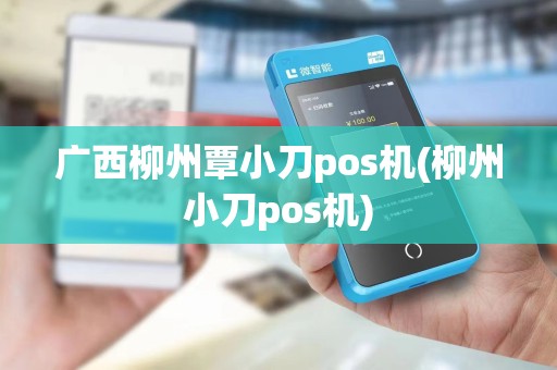 广西柳州覃小刀pos机(柳州小刀pos机)