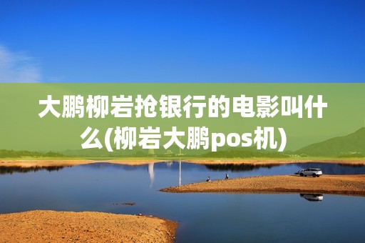 大鹏柳岩抢银行的电影叫什么(柳岩大鹏pos机)