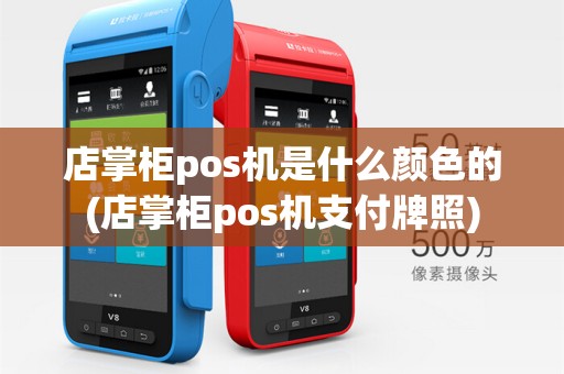 店掌柜pos机是什么颜色的(店掌柜pos机支付牌照)