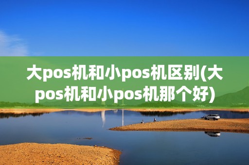 大pos机和小pos机区别(大pos机和小pos机那个好)