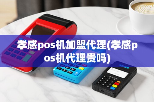 孝感pos机加盟代理(孝感pos机代理贵吗)